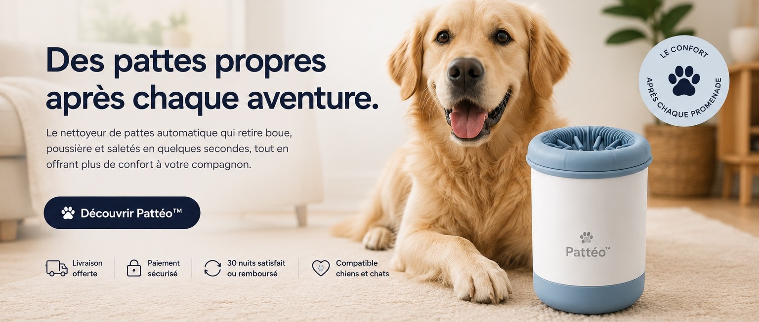 Pattéo™ CleanPaw - Des pattes propres après chaque aventure, avec un Golden Retriever